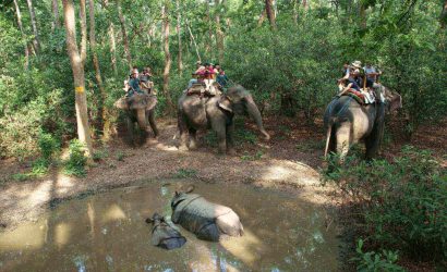 Kathmandu Chitwan Tour - People Riding Elephants