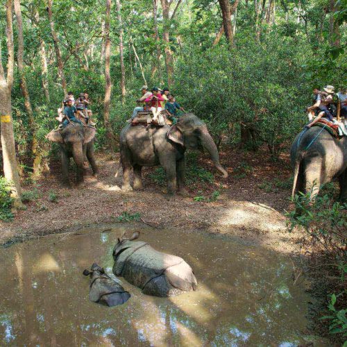 Kathmandu Chitwan Tour - People Riding Elephants