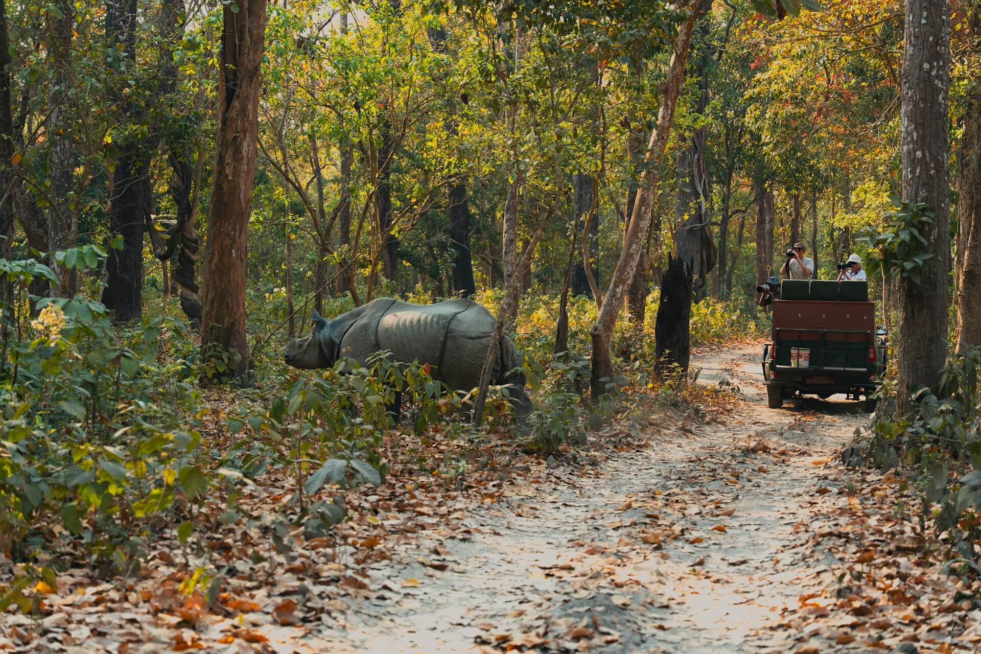 Jeep in Chitwan National Park