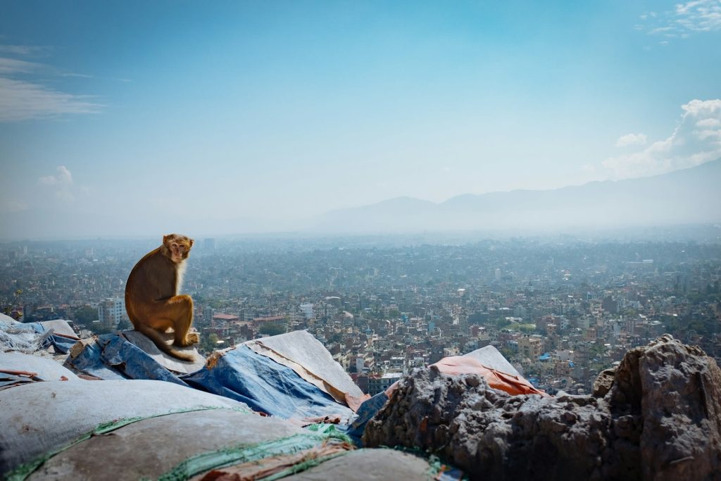 Swyambunath Top View
