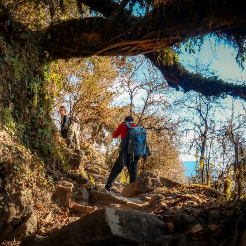 5 Days Mardi Himal Trek