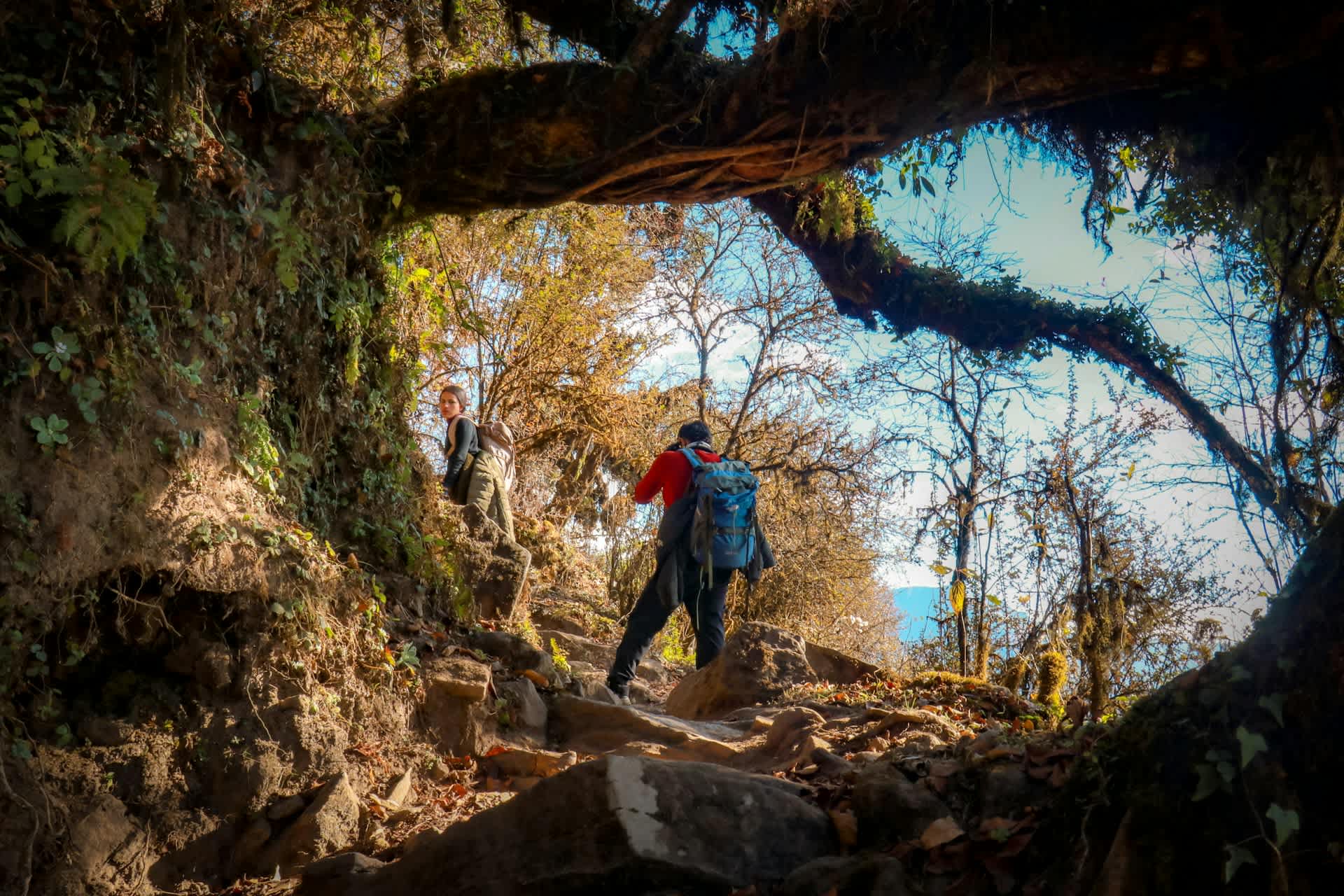 5 Days Mardi Himal Trek