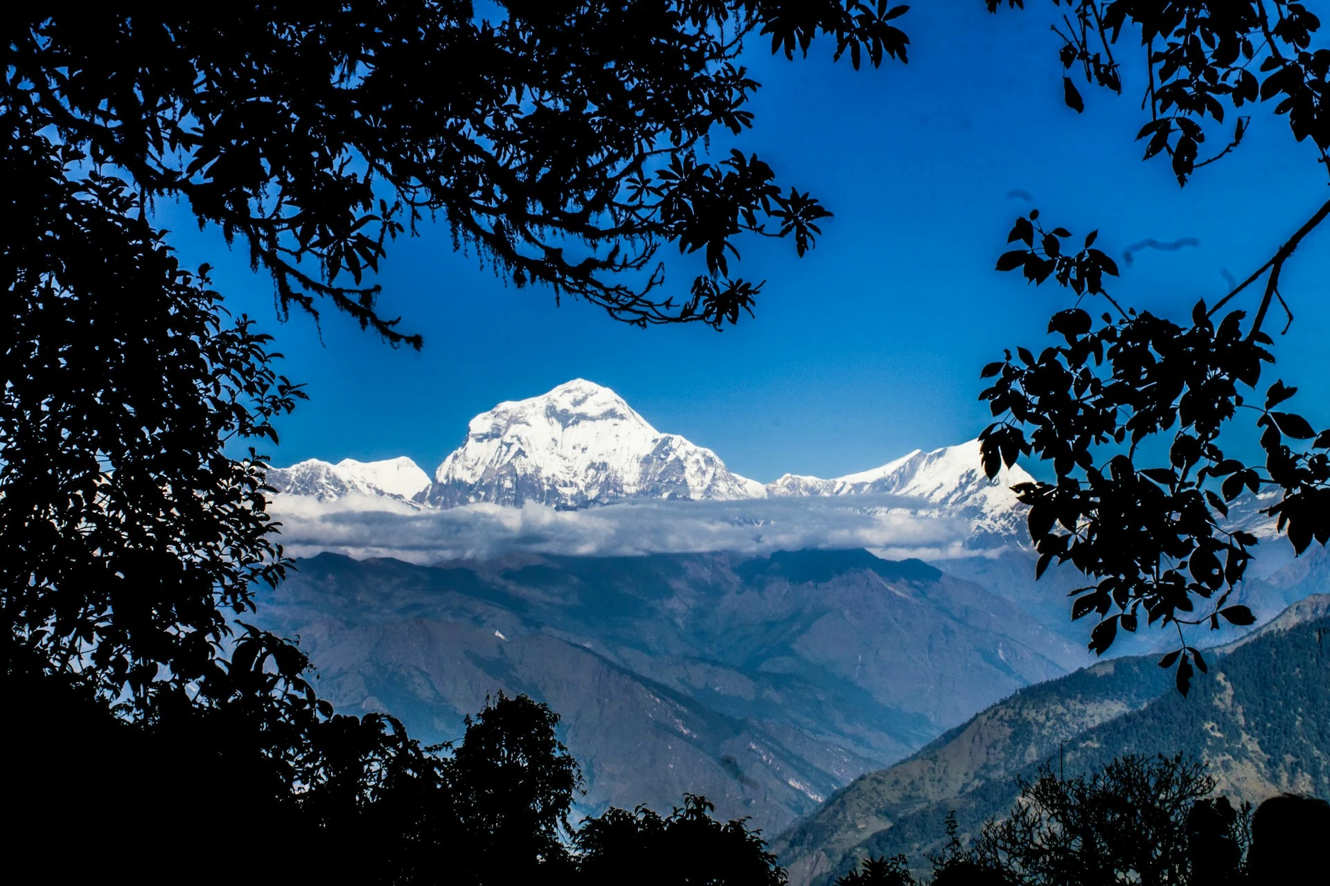 How to Reach ABC from Pokhara