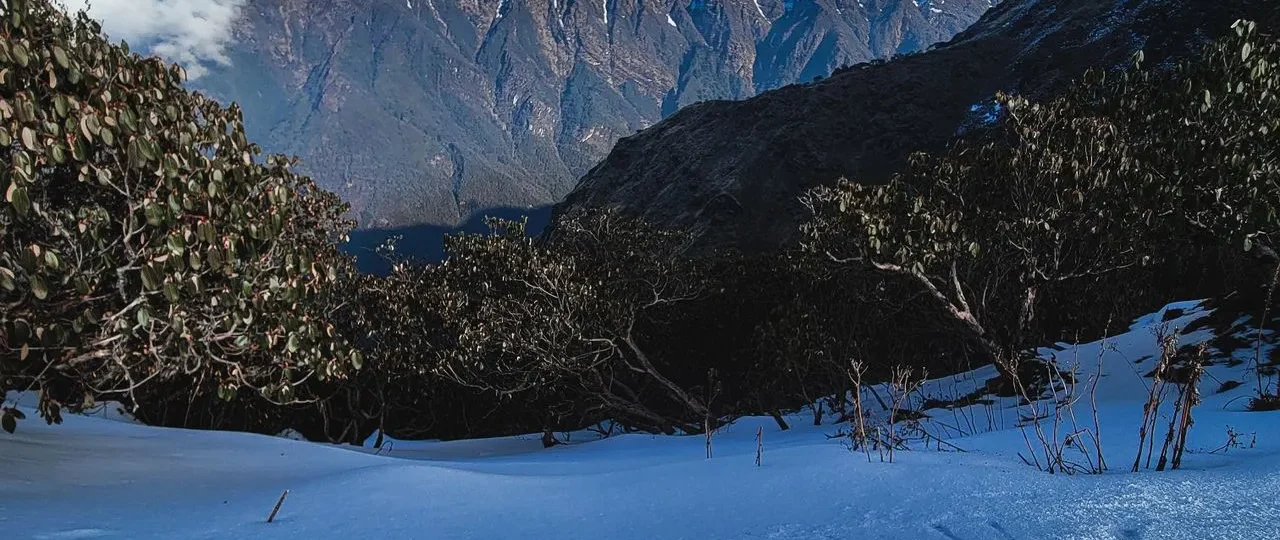 Mardi Himal Trek Cost