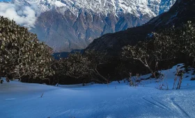 Mardi Himal Trek Cost