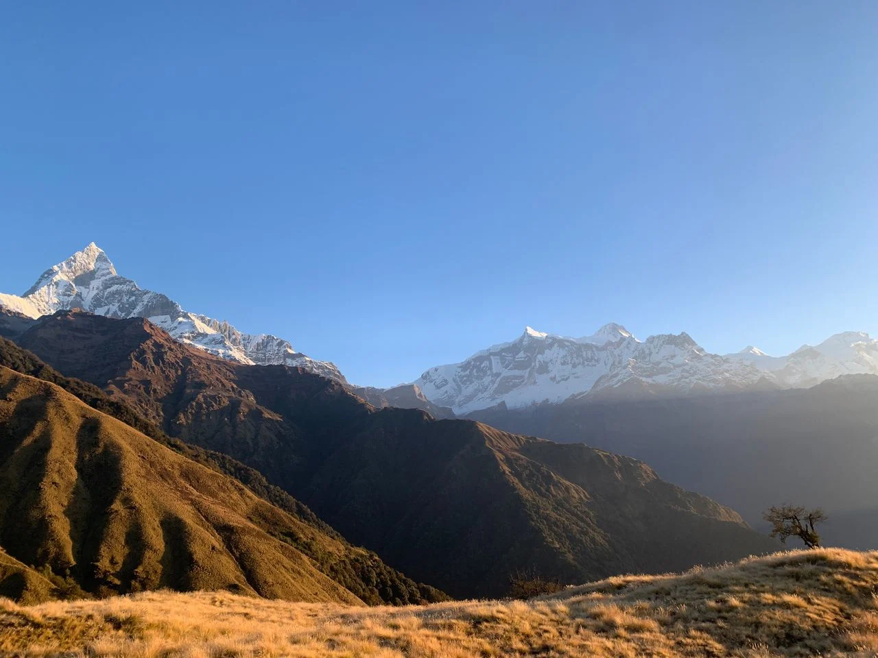Mardi Himal Trek Itinerary