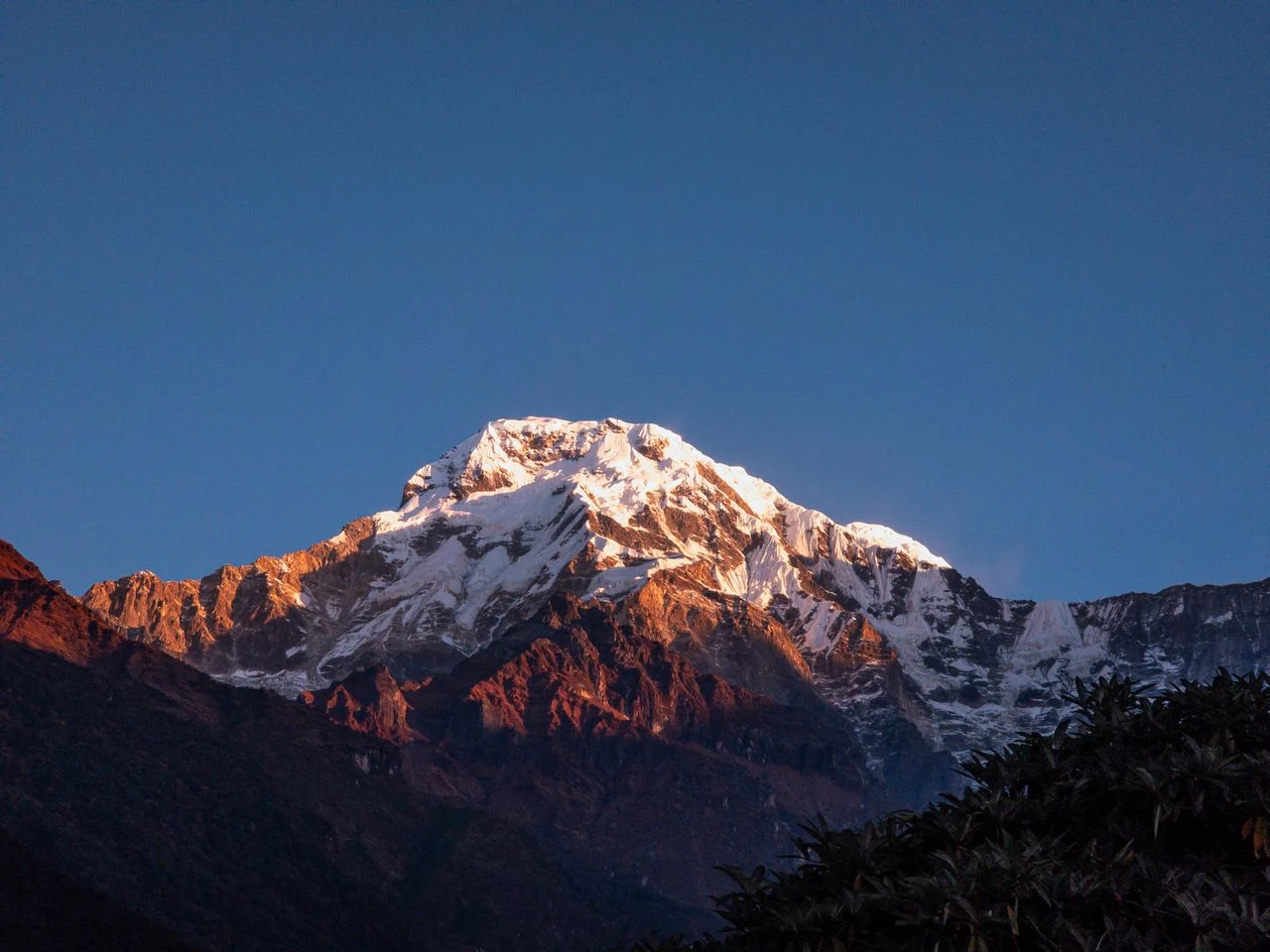 Mardi Himal Trek Price