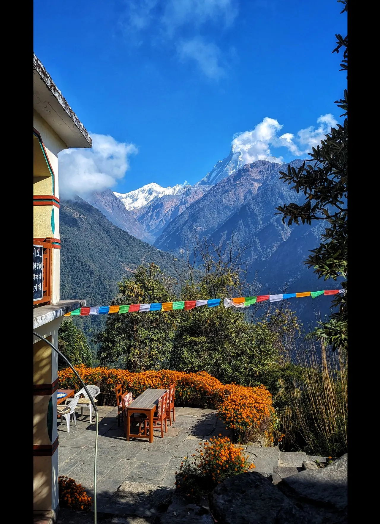 Mardi Himal accommodation
