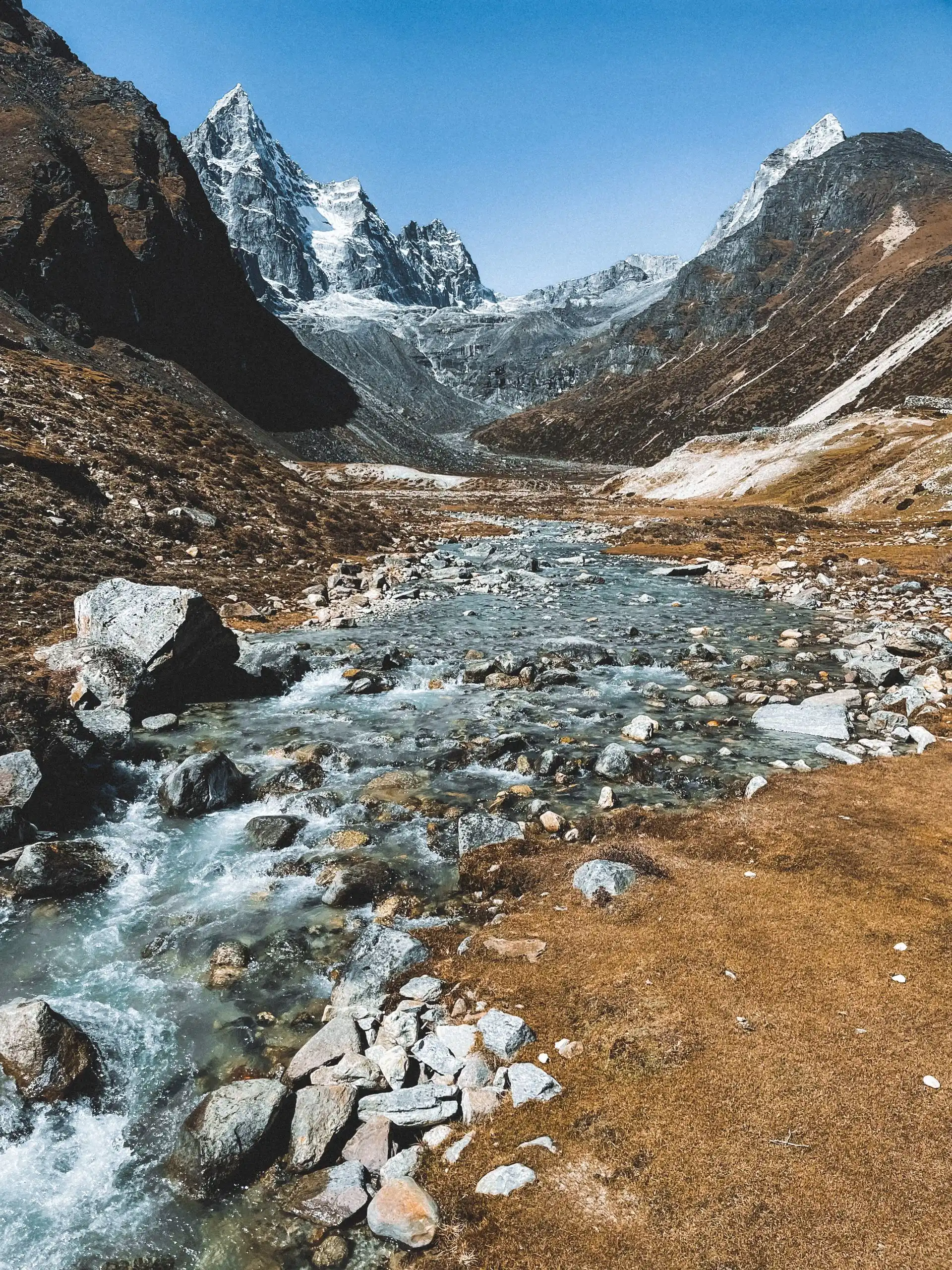 Animals on Mount Everest