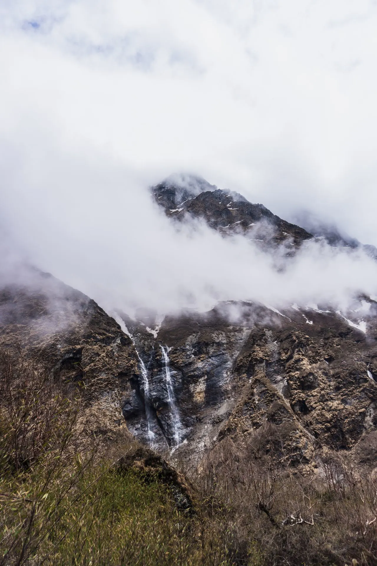 Langtang National Park Wildlife