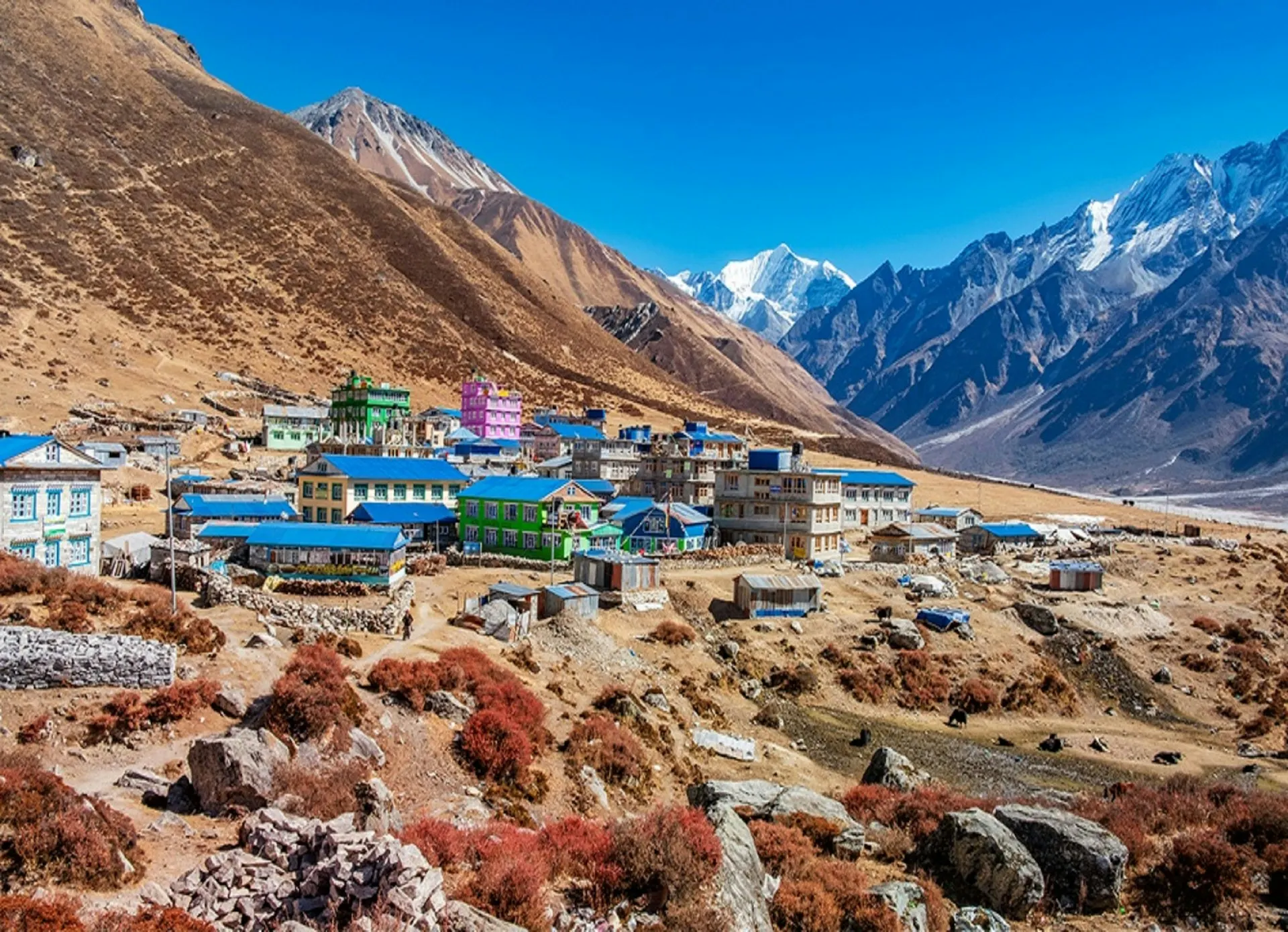 Langtang Valley Trek Cost