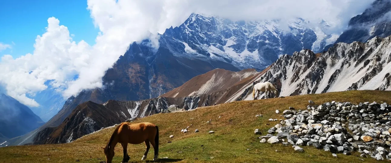 Langtang Valley Trek Guide
