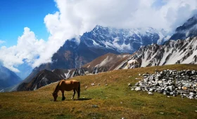 Langtang Valley Trek Guide