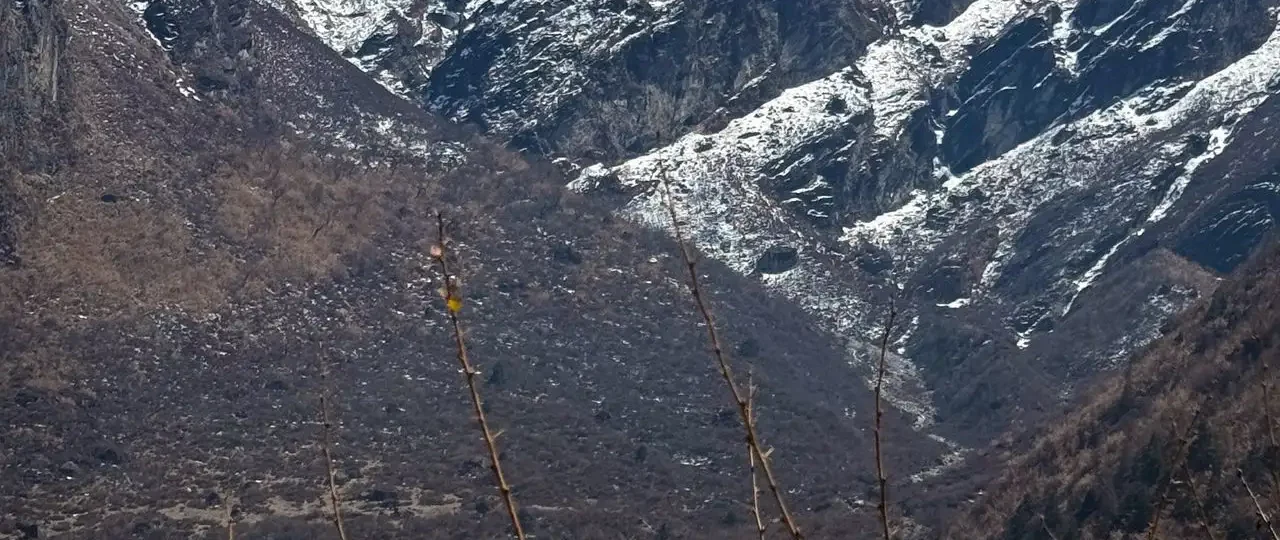 Langtang Village