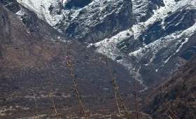 Langtang Village