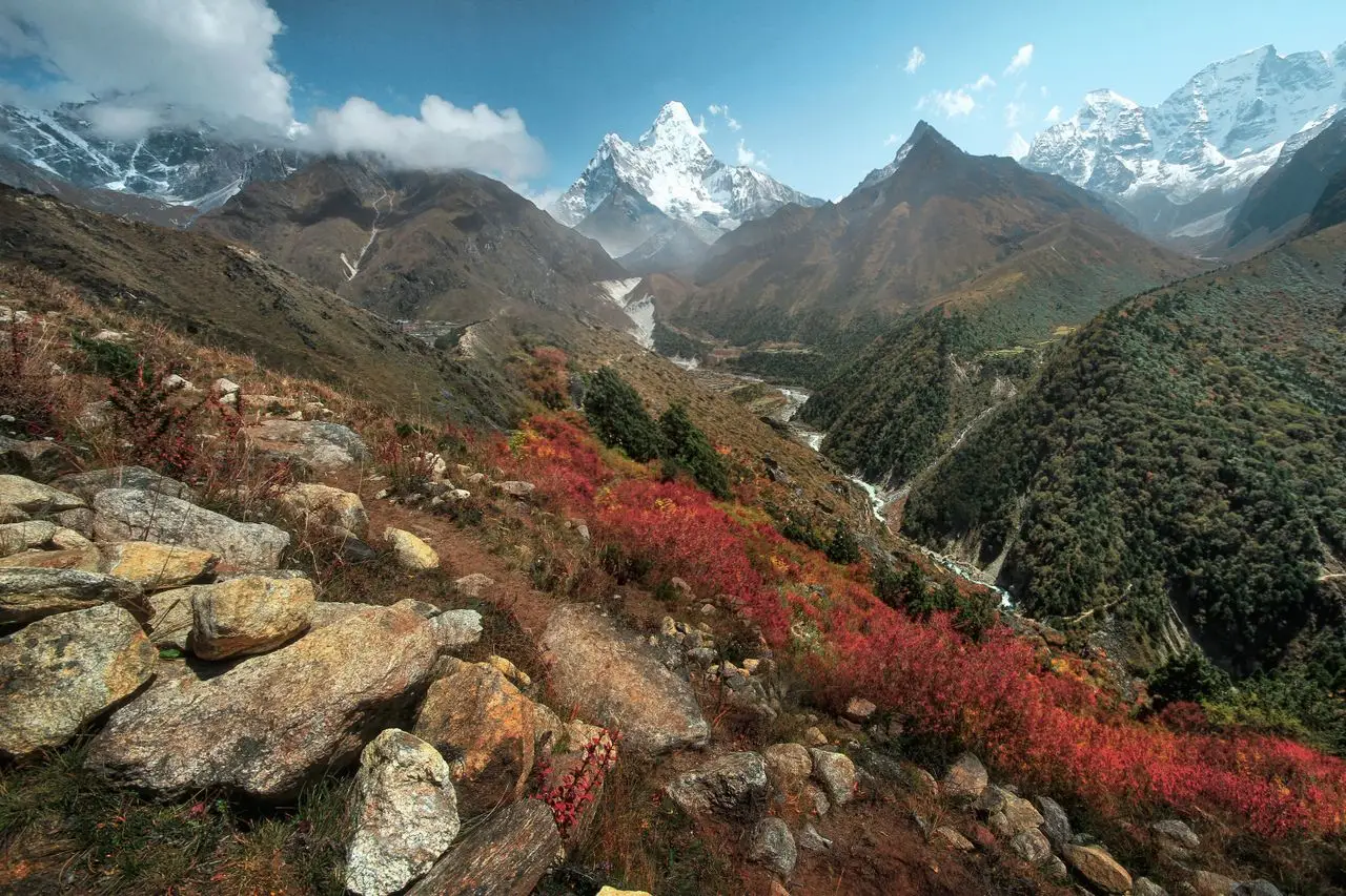 Sagarmatha National Park wildlife