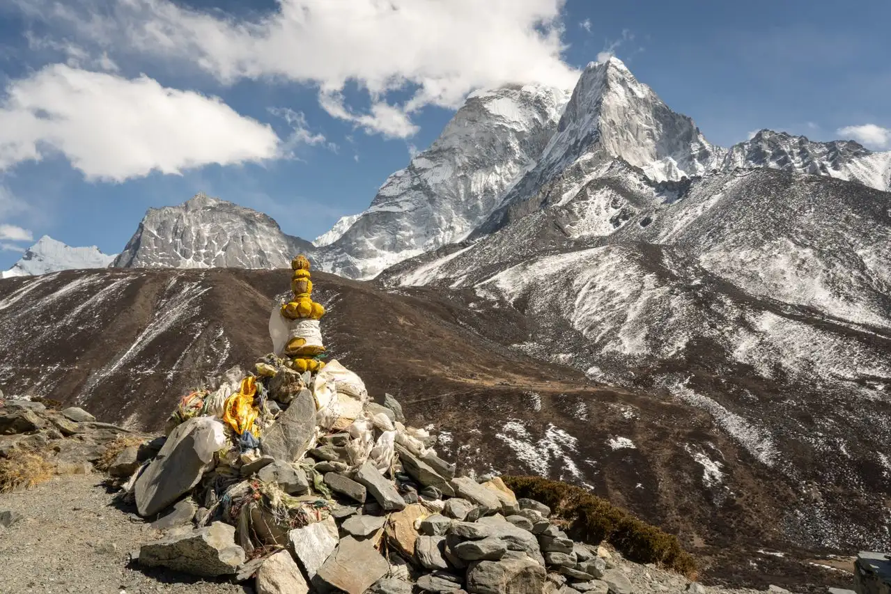 Wildlife of Mount Everest